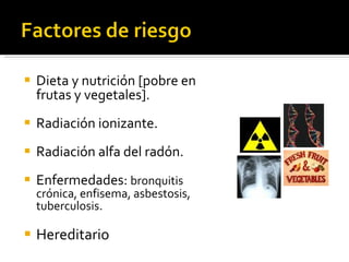 Dieta y nutrición [pobre en frutas y vegetales]. Radiación ionizante. Radiación alfa del radón. Enfermedades:  bronquitis crónica, enfisema, asbestosis, tuberculosis. Hereditario 