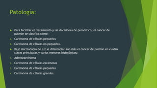 Patología: 
 Para facilitar el tratamiento y las decisiones de pronóstico, el cáncer de 
pulmón se clasifica como: 
A. Carcinoma de células pequeñas 
B. Carcinoma de células no pequeñas. 
 Bajo microscopía de luz se diferenciar aún más el cáncer de pulmón en cuatro 
clases principales y varios menores histológicos: 
1. Adenocarcinoma 
2. Carcinoma de células escamosas 
3. Carcinoma de células pequeñas 
4. Carcinoma de células grandes. 
 