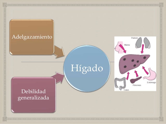 El patrón al adelgazamiento