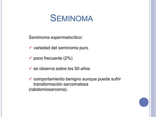 SEMINOMA
Seminoma espermatocítico:
 variedad del seminoma puro
 poco frecuente (2%)
 se observa sobre los 50 años
 comportamiento benigno aunque puede sufrir
transformación sarcomatosa
(rabdomiosarcoma).
 