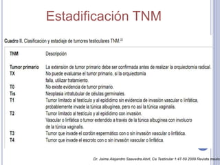 Estadificación TNM
Dr. Jaime Alejandro Saavedra Abril, Ca Testicular 1:47-59 2009 Revista mexica
 