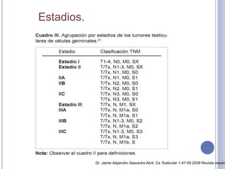 Estadios.
Dr. Jaime Alejandro Saavedra Abril, Ca Testicular 1:47-59 2009 Revista mexica
 