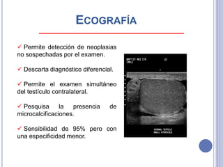 ECOGRAFÍA
 Permite detección de neoplasias
no sospechadas por el examen.
 Descarta diagnóstico diferencial.
 Permite el examen simultáneo
del testículo contralateral.
 Pesquisa la presencia de
microcalcificaciones.
 Sensibilidad de 95% pero con
una especificidad menor.
 