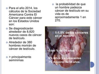  Para el año 2014, los
cálculos de la Sociedad
Americana Contra El
Cáncer para este cáncer
en los Estados Unidos
son:
 Se diagnosticarán
alrededor de 8,820
nuevos casos de cáncer
de testículo.
 Alrededor de 380
hombres morirán de
cáncer de testículo.
 > principalmente
semínimas
 la probabilidad de que
un hombre padezca
cáncer de testículo en su
vida es de
aproximadamente 1 en
270.
 1-1.5% de los cánceres
en el hombre
 Edad % dx: 33 años
 6% niños y adolescentes
 7% mayores de 55 años.
 