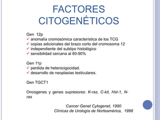 Gen 12p
 anomalía cromosómica característica de los TCG
 copias adicionales del brazo corto del cromosoma 12
 independiente del subtipo histológico
 sensibilidad cercana al 80-90%
Gen 11p
 perdida de heterocigocidad.
 desarrollo de neoplasias testiculares.
Gen TGCT1
Oncogenes y genes supresores: K-ras, C-kit, Hst-1, N-
ras
FACTORES
CITOGENÉTICOS
Cancer Genet Cytogenet, 1990
Clínicas de Urología de Norteamérica, 1998
 