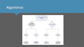 Algoritmos
 