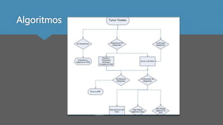 Algoritmos
 
