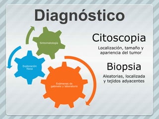 Diagnóstico
Exámenes de
gabinete y laboratorio
Exploración
física
Sintomatología
Citoscopia
Localización, tamaño y
apariencia del tumor
Biopsia
Aleatorias, localizada
y tejidos adyacentes
 