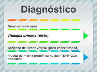 Diagnóstico
Gammagrama óseo
Citología urinaria (90%)
Antígeno de tumor vesical (poca especificadad)
Prueba de matriz proteínica nuclear (NMP-22):
invasores
 