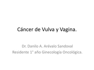 Cáncer de Vulva y Vagina.
Dr. Danilo A. Arévalo Sandoval
Residente 1° año Ginecología Oncológica.
 