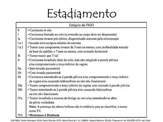 Estadiamento 
CAETANO, Carlos Henrique; SILVA, Dario Silva da; LEITE, Maria Clara de L. A.; CABRAL, Nayara Martins; SOUZA, Thaynara A. de; ROLDÃO-LEITE, Isac César. 
 