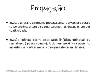 Propagação 
 Invasão Direta: o carcinoma propaga-se para a vagina e para o 
corpo uterino; estende-se para paramétrios, bexiga e reto por 
contiguidade. 
 Invasão Indireta: ocorre pelos vasos linfáticos (principal) ou 
sanguíneos ( pouco comum). A via hematogênica caracteriza 
moléstia avançada e propicia o surgimento de metástases. 
CAETANO, Carlos Henrique; SILVA, Dario Silva da; LEITE, Maria Clara de L. A.; CABRAL, Nayara Martins; SOUZA, Thaynara A. de; ROLDÃO-LEITE, Isac César. 
 
