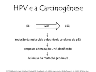 HPV e a Carcinogênese 
E6 p53 
INIBE 
redução da meia-vida e dos níveis celulares de p53 
resposta alterada do DNA danificado 
acúmulo da mutação genômica 
CAETANO, Carlos Henrique; SILVA, Dario Silva da; LEITE, Maria Clara de L. A.; CABRAL, Nayara Martins; SOUZA, Thaynara A. de; ROLDÃO-LEITE, Isac César. 
 