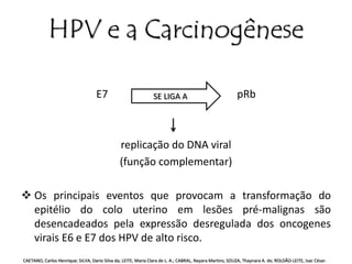 HPV e a Carcinogênese 
E7 pRb 
SE LIGA A 
replicação do DNA viral 
(função complementar) 
 Os principais eventos que provocam a transformação do 
epitélio do colo uterino em lesões pré-malignas são 
desencadeados pela expressão desregulada dos oncogenes 
virais E6 e E7 dos HPV de alto risco. 
CAETANO, Carlos Henrique; SILVA, Dario Silva da; LEITE, Maria Clara de L. A.; CABRAL, Nayara Martins; SOUZA, Thaynara A. de; ROLDÃO-LEITE, Isac César. 
 