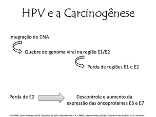 HPV e a Carcinogênese 
Integração do DNA 
Quebra do genoma viral na região E1/E2 
Perda de regiões E1 e E2 
Perda de E2 Descontrole e aumento da 
expressão das oncoproteínas E6 e E7 
CAETANO, Carlos Henrique; SILVA, Dario Silva da; LEITE, Maria Clara de L. A.; CABRAL, Nayara Martins; SOUZA, Thaynara A. de; ROLDÃO-LEITE, Isac César. 
 