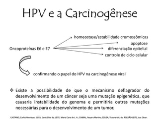HPV e a Carcinogênese 
homeostase/estabilidade cromossômicas 
apoptose 
Oncoproteínas E6 e E7 diferenciação epitelial 
controle de ciclo celular 
confirmando o papel do HPV na carcinogênese viral 
 Existe a possibilidade de que o mecanismo deflagrador do 
desenvolvimento de um câncer seja uma mutação epigenética, que 
causaria instabilidade do genoma e permitiria outras mutações 
necessárias para o desenvolvimento de um tumor. 
CAETANO, Carlos Henrique; SILVA, Dario Silva da; LEITE, Maria Clara de L. A.; CABRAL, Nayara Martins; SOUZA, Thaynara A. de; ROLDÃO-LEITE, Isac César. 
 