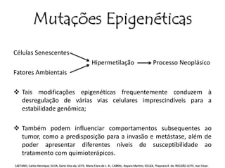 Mutações Epigenéticas 
Células Senescentes 
Hipermetilação Processo Neoplásico 
Fatores Ambientais 
 Tais modificações epigenéticas frequentemente conduzem à 
desregulação de várias vias celulares imprescindíveis para a 
estabilidade genômica; 
 Também podem influenciar comportamentos subsequentes ao 
tumor, como a predisposição para a invasão e metástase, além de 
poder apresentar diferentes níveis de susceptibilidade ao 
tratamento com quimioterápicos. 
CAETANO, Carlos Henrique; SILVA, Dario Silva da; LEITE, Maria Clara de L. A.; CABRAL, Nayara Martins; SOUZA, Thaynara A. de; ROLDÃO-LEITE, Isac César. 
 