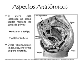 Aspectos Anatômicos 
 O útero está 
localizado no plano 
sagital mediano da 
cavidade pélvica: 
 Posterior a Bexiga; 
Anterior ao Reto; 
 Órgão fibromuscular, 
ímpar, oco, em forma 
de pera invertida. 
CAETANO, Carlos Henrique; SILVA, Dario Silva da; LEITE, Maria Clara de L. A.; CABRAL, Nayara Martins; SOUZA, Thaynara A. de; ROLDÃO-LEITE, Isac César. 
 