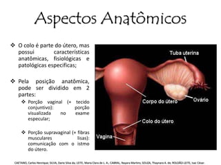 Aspectos Anatômicos 
 O colo é parte do útero, mas 
possui características 
anatômicas, fisiológicas e 
patológicas especificas; 
 Pela posição anatômica, 
pode ser dividido em 2 
partes: 
 Porção vaginal (+ tecido 
conjuntivo): porção 
visualizada no exame 
especular; 
 Porção supravaginal (+ fibras 
musculares lisas): 
comunicação com o istmo 
do útero. 
CAETANO, Carlos Henrique; SILVA, Dario Silva da; LEITE, Maria Clara de L. A.; CABRAL, Nayara Martins; SOUZA, Thaynara A. de; ROLDÃO-LEITE, Isac César. 
 