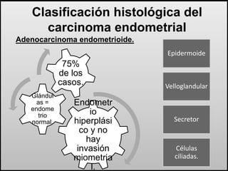 Clasificación histológica del 
carcinoma endometrial 
Adenocarcinoma endometrioide. 
Endometr 
io 
hiperplási 
co y no 
hay 
invasión 
miometria 
l. 
Glándul 
as = 
endome 
trio 
normal. 
75% 
de los 
casos. 
Epidermoide 
Velloglandular 
Secretor 
Células 
ciliadas. 
 