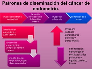 Patrones de diseminación del cáncer de 
endometrio. 
invasión del estroma 
endometrial 
Expansión 
exofítica dentro 
de la cavidad 
uterina 
Invasión al 
miometrio 
Perforación de la 
serosa 
tumores en el 
segmento U.I: 
cuello uterino 
Tumor en el 
segmento U.S: 
trompas de Falopio 
o serosa. 
Invasión directa: 
vejiga, colon, vagina 
y ligamento ancho. 
Invasión: 
cadenas 
ganglionares 
pélvicas y 
paraaórticas 
diseminación 
hematógena= 
metástasis a los 
pulmones y 
hígado, cerebro, 
hueso. 
 