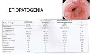 ETIOPATOGENIA
 