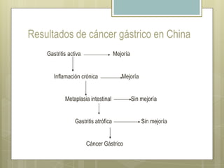 Dieta deficiente en frutas vegetalesFactores para atrofia gástrica y cáncer gástrico potencialAlto consumo de sal Duración de la infección por H. PyloriBaja ingesta de Vitamina CAlto consumo de alcohol Nitratos FumarAtrofia gástrica Cáncer gástrico