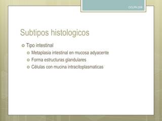 CICLIPA 2006Carcinoma avanzado polipoide