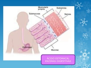 ÁCIDO ESTOMACAL
ENZIMAS DIGESTIVAS
Asociación Americana
de Cancerología.2011.
Patología estructural y
funcional. Robbins y
Cotran págs. 813-
831.Manual de
Oncología Pags. 579-
593.
 