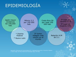 EPIDEMIOLOGÍA
Japón mayor
incidencia
82:100,000
hab.
* Distrito
Federal
* Nuevo León
Relación H:M
de 2:1
Costa Rica 59
por cada 100
000 hab.
2º tumor
maligno más
común en el
mundo
México 3.3
por 100 000
hab.
3º lugar en
varones 57%
5º lugar en
mujeres 43%
Asociación Americana de Cancerología.2011. Patología estructural y funcional. Robbins
y Cotran págs. 813-831.Manual de Oncología Pags. 579-593.
 