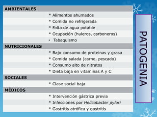 Asociación Americana de Cancerología.2011. Patología estructural y funcional. Robbins
y Cotran págs. 813-831.Manual de Oncología Pags. 579-593.
AMBIENTALES
* Alimentos ahumados
* Comida no refrigerada
* Falta de agua potable
* Ocupación (huleros, carboneros)
• Tabaquismo
NUTRICIONALES
* Bajo consumo de proteínas y grasa
* Comida salada (carne, pescado)
* Consumo alto de nitratos
* Dieta baja en vitaminas A y C
SOCIALES
* Clase social baja
MÉDICOS
* Intervención gástrica previa
* Infecciones por Helicobacter pylori
* Gastritis atrófica y gastritis
 