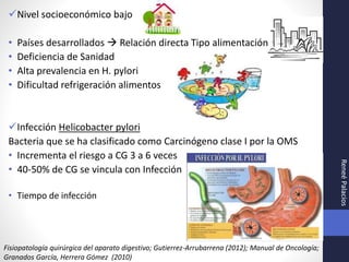 Nivel socioeconómico bajo
• Países desarrollados  Relación directa Tipo alimentación
• Deficiencia de Sanidad
• Alta prevalencia en H. pylori
• Dificultad refrigeración alimentos
Infección Helicobacter pylori
Bacteria que se ha clasificado como Carcinógeno clase I por la OMS
• Incrementa el riesgo a CG 3 a 6 veces
• 40-50% de CG se vincula con Infección
• Tiempo de infección
ReneéPalacios
Fisiopatología quirúrgica del aparato digestivo; Gutierrez-Arrubarrena (2012); Manual de Oncología;
Granados García, Herrera Gómez (2010)
 