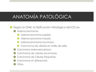 ANATOMÍA PATOLÓGICA
 Según la OMS, la Tipificación Histológica del CG es:
 Adenocarcinoma.
 Adenocarcinoma papilar.
 Adenocarcinoma tubular.
 Adenocarcinoma mucinoso.
 Carcinoma de células en anillo de sello.
 Carcinoma Adenoescamoso.
 Carcinoma de células escamosas.
 Carcinoma de Células Pequeñas.
 Carcinoma sin diferenciar.
 Otros.
 