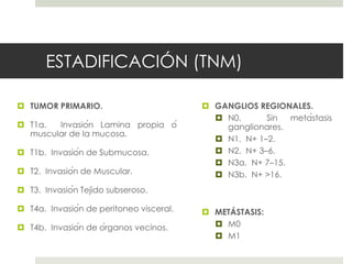 ESTADIFICACIÓN (TNM)
 TUMOR PRIMARIO.
 T1a. Invasión Lamina propia ó
muscular de la mucosa.
 T1b. Invasión de Submucosa.
 T2. Invasión de Muscular.
 T3. Invasión Tejido subseroso.
 T4a. Invasión de peritoneo visceral.
 T4b. Invasión de órganos vecinos.
 GANGLIOS REGIONALES.
 N0. Sin metástasis
ganglionares.
 N1. N+ 1–2.
 N2. N+ 3–6.
 N3a. N+ 7–15.
 N3b. N+ >16.
 METÁSTASIS:
 M0
 M1
 