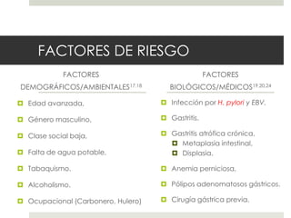 FACTORES DE RIESGO
FACTORES
DEMOGRÁFICOS/AMBIENTALES17,18
 Edad avanzada,
 Género masculino,
 Clase social baja,
 Falta de agua potable,
 Tabaquismo.
 Alcoholismo.
 Ocupacional (Carbonero, Hulero)
FACTORES
BIOLÓGICOS/MÉDICOS19,20,24
 Infección por H. pylori y EBV.
 Gastritis.
 Gastritis atrófica crónica,
 Metaplasia intestinal,
 Displasia.
 Anemia perniciosa,
 Pólipos adenomatosos gástricos.
 Cirugía gástrica previa.
 