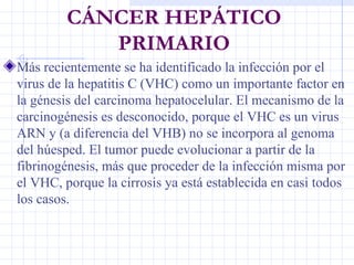 CÁNCER HEPÁTICO PRIMARIO <ul><li>Más recientemente se ha identificado la infección por el virus de la hepatitis C (VHC) co...
