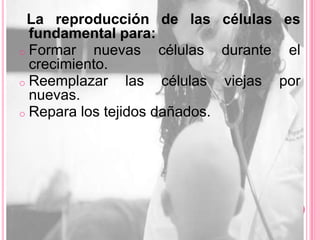 La reproducción de las células es
  fundamental para:
o Formar   nuevas células durante el
  crecimiento.
o Reemplazar     las células viejas por
  nuevas.
o Repara los tejidos dañados.
 
