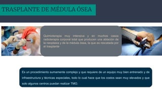 TRASPLANTE DE MÉDULA ÓSEA
Quimioterapia muy intensiva y en muchos casos
radioterapia corporal total que producen una ablación de
la neoplasia y de la médula ósea, la que es rescatada por
el trasplante
Es un procedimiento sumamente complejo y que requiere de un equipo muy bien entrenado y de
infraestructura y técnicas especiales, todo lo cual hace que los costos sean muy elevados y que
solo algunos centros puedan realizar TMO.
 
