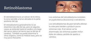 Retinoblastoma
El retinoblastoma es un cáncer de la retina,
la zona sensible a la luz ubicada en la parte
posterior del ojo.
El retinoblastoma generalmente no se
disemina más allá del ojo, pero en algunos
casos se extiende hasta el cerebro a lo largo
del nervio óptico (el nervio que va del ojo al
cerebro). También se puede diseminar a
otros órganos, como la médula ósea, pero es
muy poco frecuente.
Los síntomas del retinoblastoma consisten
en pupila blanca (leucocoria) o estrabismo.
Los retinoblastomas de gran tamaño afectan
la vista pero tienden a producir pocos
síntomas más. Si el cáncer se ha
diseminado, los síntomas pueden incluir
dolor de cabeza, pérdida de apetito o
vómitos.
 