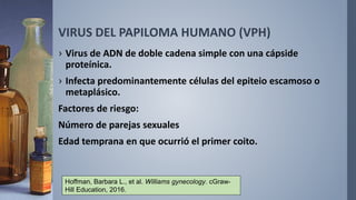 VIRUS DEL PAPILOMA HUMANO (VPH)
› Virus de ADN de doble cadena simple con una cápside
proteínica.
› Infecta predominantemente células del epiteio escamoso o
metaplásico.
Factores de riesgo:
Número de parejas sexuales
Edad temprana en que ocurrió el primer coito.
Hoffman, Barbara L., et al. Williams gynecology. cGraw-
Hill Education, 2016.
 