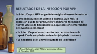 RESULTADOS DE LA INFECCIÓN POR VPH
La infección por HPV en genitales origina diversos desenlaces.
La infección puede ser latente o expresa. Aún más, la
expresión puede ser productiva y originar la formación de
nuevos virus o de tipo neoplásico, que ocasione enfermedad
preinvasora o cancerosa
› La infección puede ser transitoria o persistente con la
aparición de neoplasias o sin ellas (displasia o cáncer)
› La neoplasia es el último resultado de la infección
Hoffman, Barbara L., et al. Williams gynecology. cGraw-
Hill Education, 2016.
 