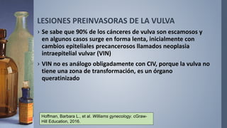 LESIONES PREINVASORAS DE LA VULVA
› Se sabe que 90% de los cánceres de vulva son escamosos y
en algunos casos surge en forma lenta, inicialmente con
cambios epiteliales precancerosos llamados neoplasia
intraepitelial vulvar (VIN)
› VIN no es análogo obligadamente con CIV, porque la vulva no
tiene una zona de transformación, es un órgano
queratinizado
Hoffman, Barbara L., et al. Williams gynecology. cGraw-
Hill Education, 2016.
 
