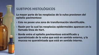 SUBTIPOS HISTOLÓGICOS
La mayor parte de las neoplasias de la vulva provienen del
epitelio pavimentoso
› Este no posee una zona de transformación identificable.
› Razón por la cual las neoplasias epidermoides aparecen en la
llamada línea de Hart.
› Borde entre el epitelio pavimentoso estratificado y
queratinizado de la vulva que está en sentido externo, y la
mucosa no queratinizada que está en sentido interno.
 