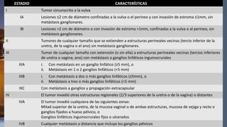 ESTADIO CARACTERÍSTICAS
I Tumor circunscrito a la vulva
IA Lesiones ≤2 cm de diámetro confinadas a la vulva o el perineo y con invasión de estroma ≤1mm, sin
metástasis ganglionares.
IB Lesiones >2 cm de diámetro o con invasión de estroma >1mm, confinadas a la vulva o al perineo, sin
metástasis ganglionares.
II Tumores de cualquier tamaño que se extienden a estructuras perineales vecinas (tercio inferior de la
uretra, de la vagina o el ano) sin metástasis ganglionares.
III Tumor de cualquier tamaño con extensión (o sin ella) a estructuras perineales vecinas (tercios inferiores
de uretra o vagina; ano) con metástasis a ganglios linfáticos inguinocrurales
IIIA i. Con metástasis en un ganglio linfático (≥5 mm), o
ii. Metástasis en 1 o 2 ganglios linfáticos (<5 mm)
IIIB i. Con metástasis a dos o más ganglios linfáticos (≤5mm), o
ii. Metástasis a tres o más ganglios linfáticos (<5 mm)
IIIC Con metástasis a ganglios y propagación extracapsular
IV El tumor invadió otras estructuras regionales (2/3 superiores de la uretra o de la vagina) o distantes
IVA El tumor invadió cualquiera de las siguientes zonas:
Mitad superior de la uretra, de la mucosa vaginal o de ambas estructuras, mucosa de vejiga y recto o
ganglios fijados a hueso pélvico, o
Ganglios linfáticos inguinocrurales fijos o ulcerados
IVB Cualquier metástasis a distancia que incluya los ganglios pélvicos
 