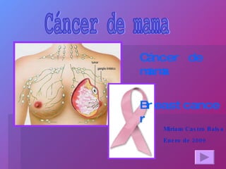Cáncer de mama Miriam Castro Balsa Enero de 2009 Cáncer de mama Breastcancer 