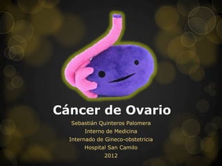 Cáncer de Ovario
  Sebastián Quinteros Palomera
       Interno de Medicina
  Internado de Gineco-obstetricia
       Hospital San Camilo
               2012
 