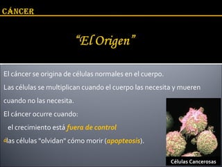 El cáncer se origina de células normales en el cuerpo.  Las células se multiplican cuando el cuerpo las necesita y mueren cuando no las necesita.  El cáncer ocurre cuando: el crecimiento está  fuera de control las células "olvidan" cómo morir ( apopteosis ). Células Cancerosas 