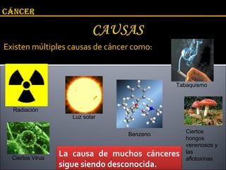 Existen múltiples causas de cáncer como: Radiación  Luz solar  Ciertos Virus Tabaquismo  Ciertos hongos venenosos y las aflotoxinas  Benzeno La causa de muchos cánceres sigue siendo desconocida. 