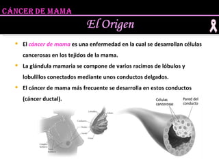 El  cáncer de mama   es una enfermedad en la cual se desarrollan células cancerosas en los tejidos de la mama.  La glándula mamaria se compone de varios racimos de lóbulos y lobulillos conectados mediante unos conductos delgados. El cáncer de mama más frecuente se desarrolla en estos conductos (cáncer ductal). 