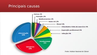 Principais causas
Fonte: Instituto Nacional do Câncer
 